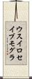 ウスイロセイブモグラ Scroll