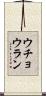 ウチョウラン Scroll