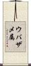 ウバザメ属 Scroll