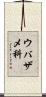 ウバザメ科 Scroll