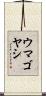 ウマゴヤシ Scroll