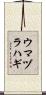 ウマヅラハギ Scroll