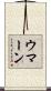 ウマーン Scroll