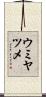 ウミヤツメ Scroll