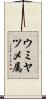 ウミヤツメ属 Scroll