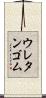 ウレタンゴム Scroll