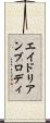 エイドリアンブロディ Scroll