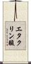 エタクリン酸 Scroll