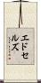 エドセルズ Scroll