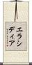 エラシディア Scroll
