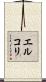 エルコリ Scroll