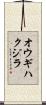 オウギハクジラ Scroll
