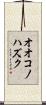 オオコノハズク Scroll
