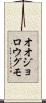 オオジョロウグモ Scroll