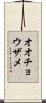 オオチョウザメ Scroll