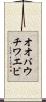 オオバウチワエビ Scroll
