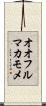 オオフルマカモメ Scroll