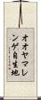 オオヤマレンゲ自生地 Scroll