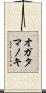 オガタマノキ Scroll