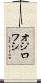 オジロワシ Scroll