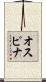 Ospina Scroll
