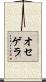 Oseguera Scroll