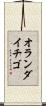 オランダイチゴ Scroll
