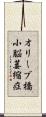オリーブ橋小脳萎縮症 Scroll