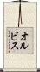 オルビス Scroll