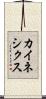 カイネシクス Scroll