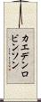 Kaeden Robinson Scroll