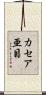カセア亜目 Scroll