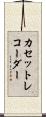 カセットレコーダー Scroll