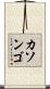 カソンゴ Scroll