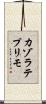 カゾラテプリモ Scroll