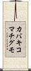 カバキコマチグモ Scroll