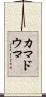 カマドウマ Scroll