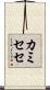 カミセセ Scroll