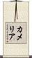 Kamelia Scroll