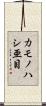 カモノハシ亜目 Scroll