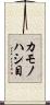 カモノハシ目 Scroll