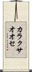 カラクサオオセ Scroll