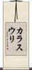 カラスウリ Scroll
