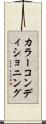 カラー・コンディショニング Scroll