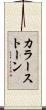 カラーストーン Scroll