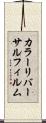 カラーリバーサルフィルム Scroll