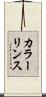 カラー・リンス Scroll