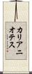 カリアニオテス Scroll