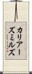 カリアーズミルズ Scroll