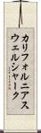 カリフォルニアスウェルシャーク Scroll